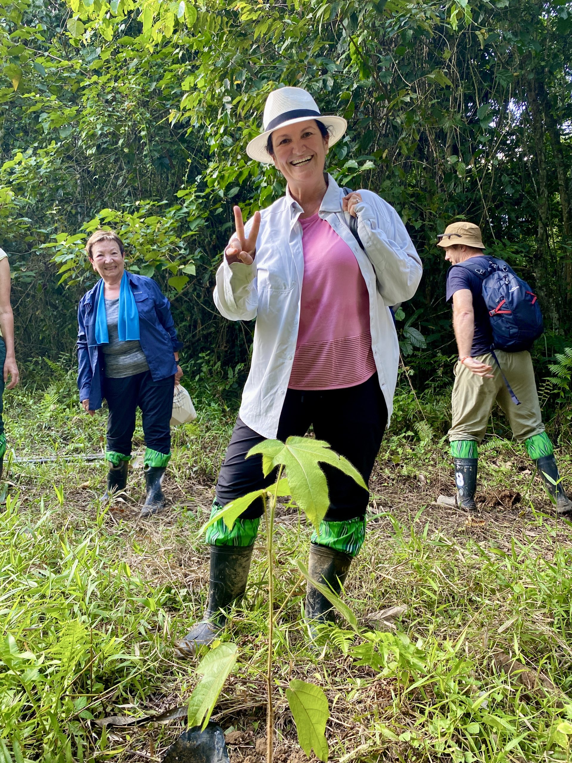 Socks for jungle store trekking