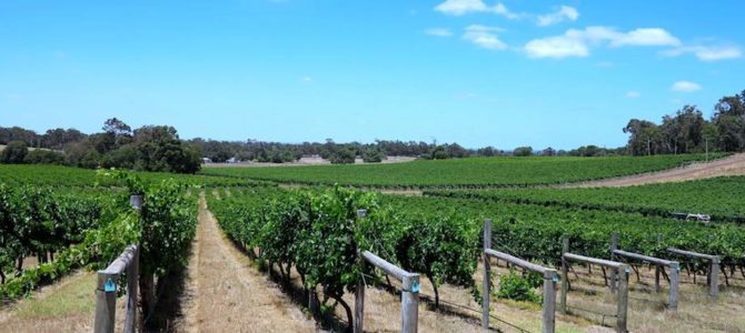Best winery lunches in Margaret River