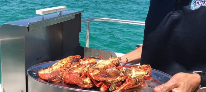 Rottnest Cruises lobster