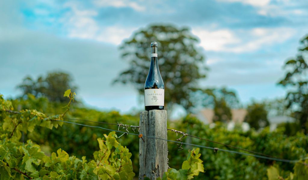Castelli Wine bottle in vineyard