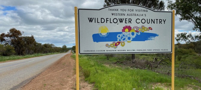 A wildflower road trip weekend away