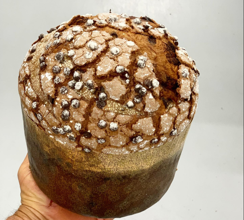 Panettone held by hand